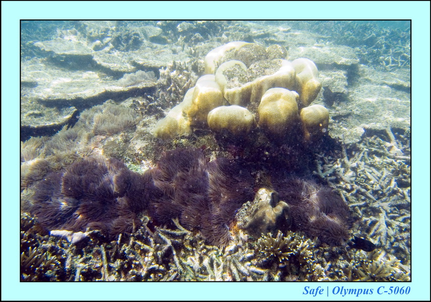 2008 - 07 - Redang - 006